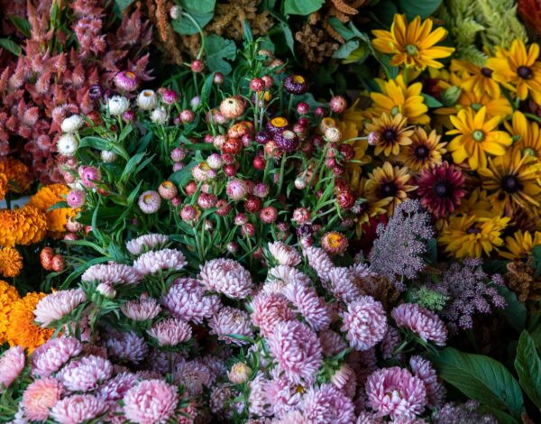 Northerly Flora